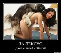 ЗА ЛЕКСУС даже с твоей собакой!