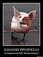 В НАШИХ ПРОДУКТАХ не содержится ГМО. Мамой клянусь!