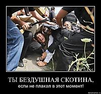 ТЫ БЕЗДУШНАЯ СКОТИНА,