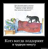 Котэ всегда поддержит в трудную минуту