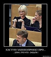 КАСТУЮ ЗАКОНОПРОЕКТ ПРО... ...БЛИН, ПРО ЧТО - ЗАБЫЛА !
