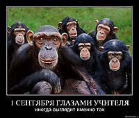 1 СЕНТЯБРЯ ГЛАЗАМИ УЧИТЕЛЯ иногда выглядит именно так