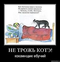 НЕ ТРОЖЬ КОТЭ! кокаинщик ебучий