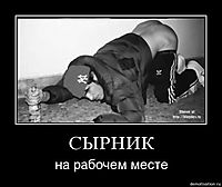 СЫРНИК на рабочем месте
