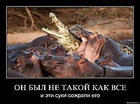 ОН БЫЛ НЕ ТАКОЙ КАК ВСЕ и эти суки сожрали его