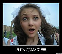 Я НА ДЕМАХ???!!! 