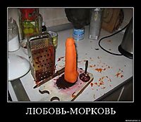 ЛЮБОВЬ-МОРКОВЬ 