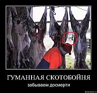 ГУМАННАЯ СКОТОБОЙНЯ забываем досмерти
