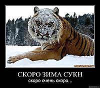 СКОРО ЗИМА СУКИ скоро очень скоро...