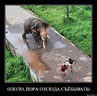 ОЛОЛО, ПОРА ОТСЮДА СЪЁБЫВАТЬ! 