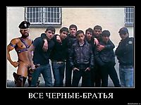 ВСЕ ЧЕРНЫЕ-БРАТЬЯ 