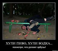 ХУЛИ ПИВО, ХУЛИ ВОДКА... посмотри, что делают арбузы!