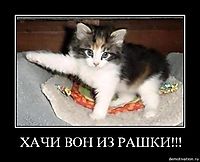 ХАЧИ ВОН ИЗ РАШКИ!!! 