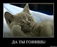 ДА ТЫ ГОНИШЬ! 