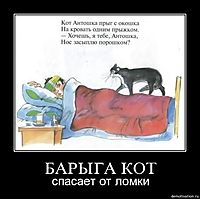 БАРЫГА КОТ спасает от ломки