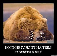 КОТЭ НЕ ГЛЯДИТ НА ТЕБЯ! но ты всё равно говно!