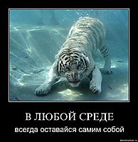 В ЛЮБОЙ СРЕДЕ всегда оставайся самим собой