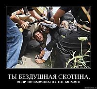 ТЫ БЕЗДУШНАЯ СКОТИНА, если не смеялся в этот момент