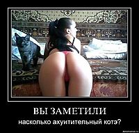ВЫ ЗАМЕТИЛИ насколько ахуитительный котэ?