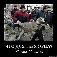 ЧТО ДЛЯ ТЕБЯ ОВЦА? "+" - еда, "-" - жена.