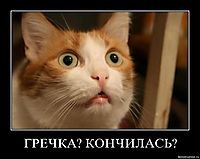ГРЕЧКА? КОНЧИЛАСЬ? 