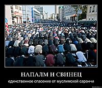 НАПАЛМ И СВИНЕЦ единственное спасение от муслимской саранчи