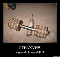 СТРАХУЙ!!1 страхуй, блиать!!1111