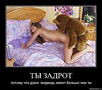 ТЫ ЗАДРОТ потому что даже  медведь имеет больше чем ты