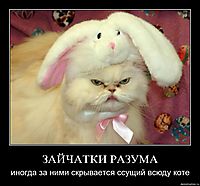ЗАЙЧАТКИ РАЗУМА иногда за ними скрывается ссущий всюду коте