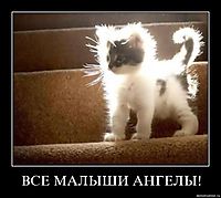 ВСЕ МАЛЫШИ АНГЕЛЫ! 