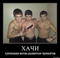 ХАЧИ тупиковая ветвь развития приматов