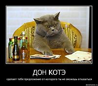 ДОН КОТЭ сделает тебе предложение от которого ты не сможешь отказаться