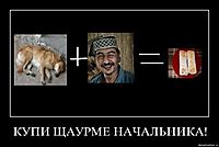 КУПИ ЩАУРМЕ НАЧАЛЬНИКА! 
