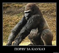 ПОРВУ ЗА КАУКАЗ 