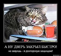 А НУ ДВЕРЬ ЗАКРЫЛ БЫСТРО! не видишь - я докторскую защищаю!