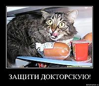 ЗАЩИТИ ДОКТОРСКУЮ! 