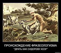 ПРОИСХОЖДЕНИЕ ФРАЗЕОЛОГИЗМА "ДРАТЬ КАК СИДОРОВУ КОЗУ"