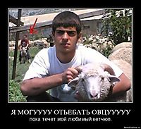 Я МОГУУУУ ОТЬЕБАТЬ ОВЦУУУУУ пока течет мой любимый кетчюп.