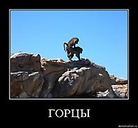 ГОРЦЫ 