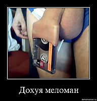 Дохуя меломан 