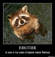 ЕНОТИК я как и ты сам стираю свое белье