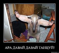 АРА ДАВАЙ ДАВАЙ ТАНЦУЙ! 