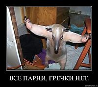 ВСЕ ПАРНИ, ГРЕЧКИ НЕТ. 