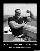 ШЛЮХИ ГОРДЯТСЯ СИСЬКАМИ я мы двуглавой мышцей плеча