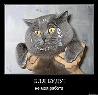 БЛЯ БУДУ! не моя работа