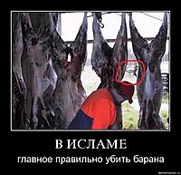 В ИСЛАМЕ главное правильно убить барана