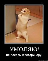 УМОЛЯЮ! не поедем к ветеринару!