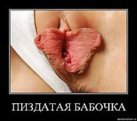 ПИЗДАТАЯ БАБОЧКА 