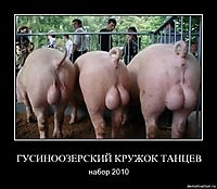 ГУСИНООЗЕРСКИЙ КРУЖОК ТАНЦЕВ набор 2010