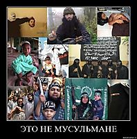ЭТО НЕ МУСУЛЬМАНЕ